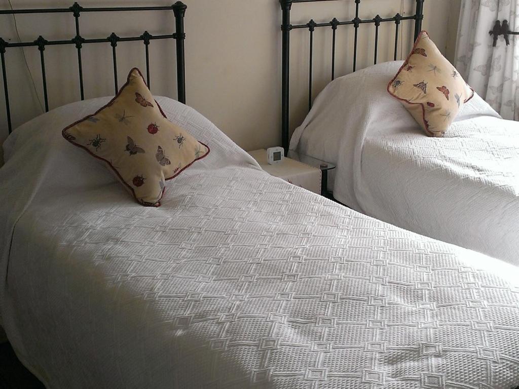 Iolanthe Bed & Breakfast Londra Dış mekan fotoğraf