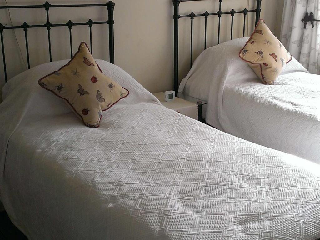Iolanthe Bed & Breakfast Londra Oda fotoğraf